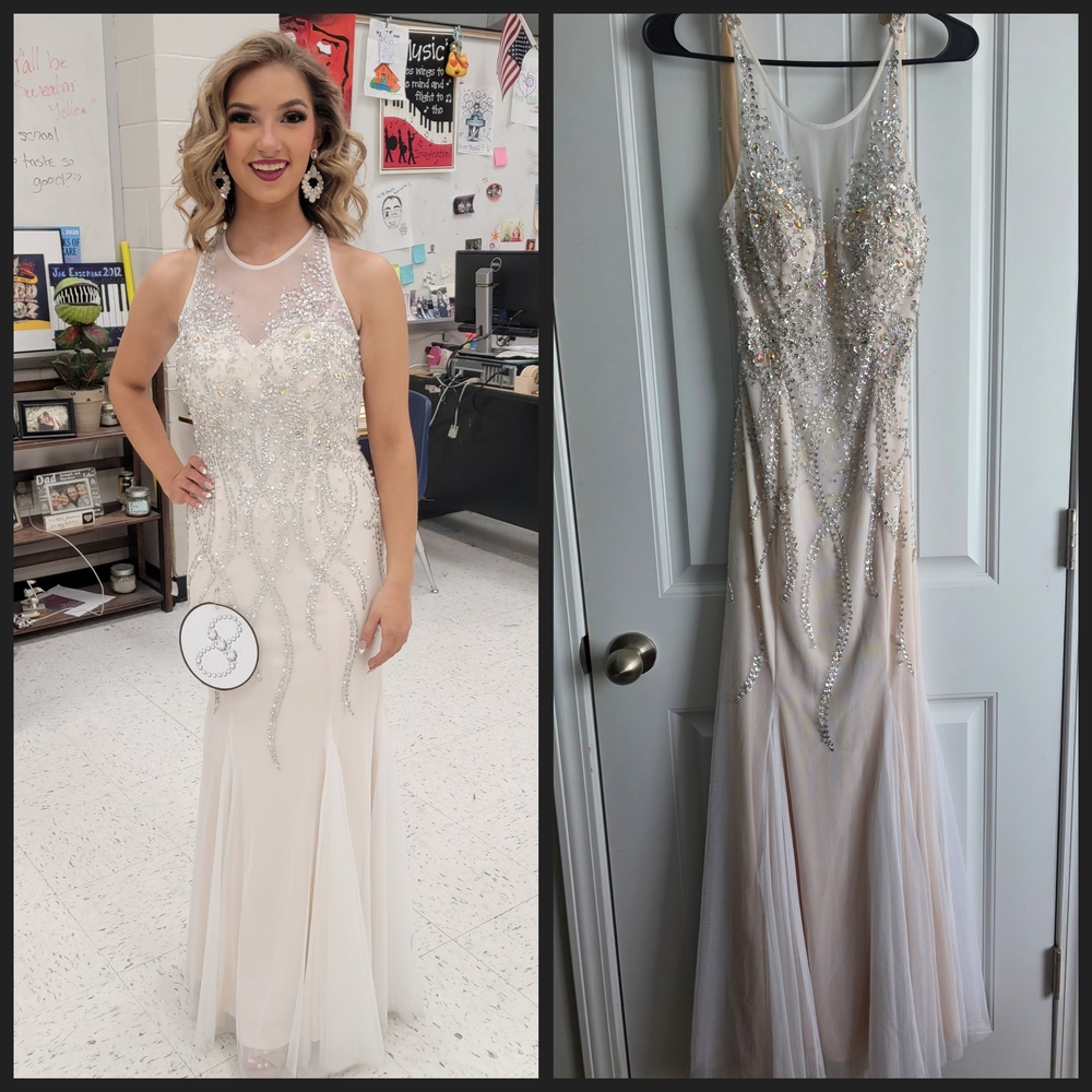 Elegant Pale Pink Beaded Evening Gown